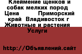 Клеймение щенков и собак мелких пород › Цена ­ 350 - Приморский край, Владивосток г. Животные и растения » Услуги   